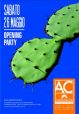 OPENING PARTY
